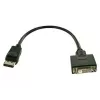 Fujitsu Technology Solutions Display Port/ DVI adapter cable