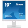 iiyama 19inch WHITE TN-panel 1280x1024 13cm Height Adj. Stand Pivot VGA DVI 250cd/m 5ms