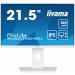 iiyama 22iW LCD Full HD IPS