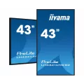 iiyama 43iW LCD 4K UHD IPS