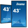 iiyama 43inch 3840x2160 UHD IPS panel Haze 25perc 500cd/m Landscape and Portrait Signal FailOver Speakers 2x 10W