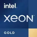 Intel Xeon Scalable 5320T 2.3GHz 30M Cache Tray CPU