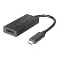Lenovo CABLE_BO USB C to DisplayPort Adapter
