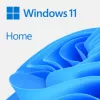 Microsoft WIN HOME FPP 11 64-bit German 1 LicenseUSB Flash Drive