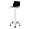 Newstar Computer Products Mobile Laptop Cart 10-22'