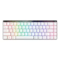 AsusTek ASUS Falchion RX LP RLRD Gaming Keyboard