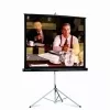Projecta PICTURE KING 156X244 MATTE WHITE