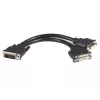 StarTech.com 8IN LFH 59 Male to Dual Female DVI I DMS 59 Cable