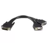 StarTech.com 8IN LFH 59 Male to Dual Female VGA DMS 59 Cable