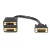 StarTech.com Digital Video Splitter Cable 1 ft DVI-D to 2X DVI-D M/F