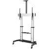 StarTech.com Mobile TV Stand Cart - 60-100in Display