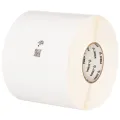 Zebra POLYPRO 3000T GLOSS 51x25mm TT PERMANENT ADHESIVE 25MM CORE