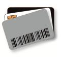 Zebra CARDBLANKPVC20MILCR80