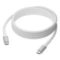 dbramante1928 IT - Cable - BRD - 2m USB-C/USB-C 100W - W