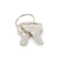 Digitus Key for charging trolleys, DN-45002, DN-45005 2 pieces