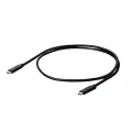 Eizo USB-C - USB-C signal cable/1 meter/black